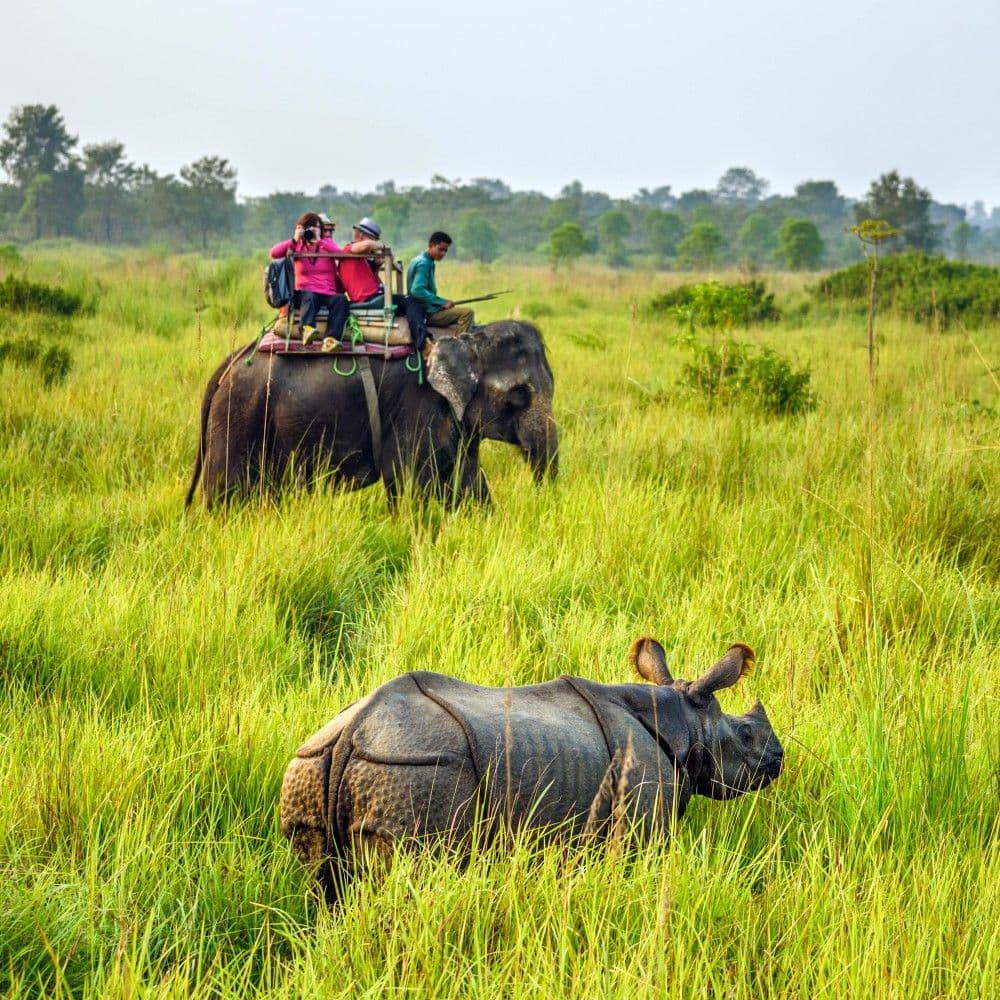 Expeditions Image