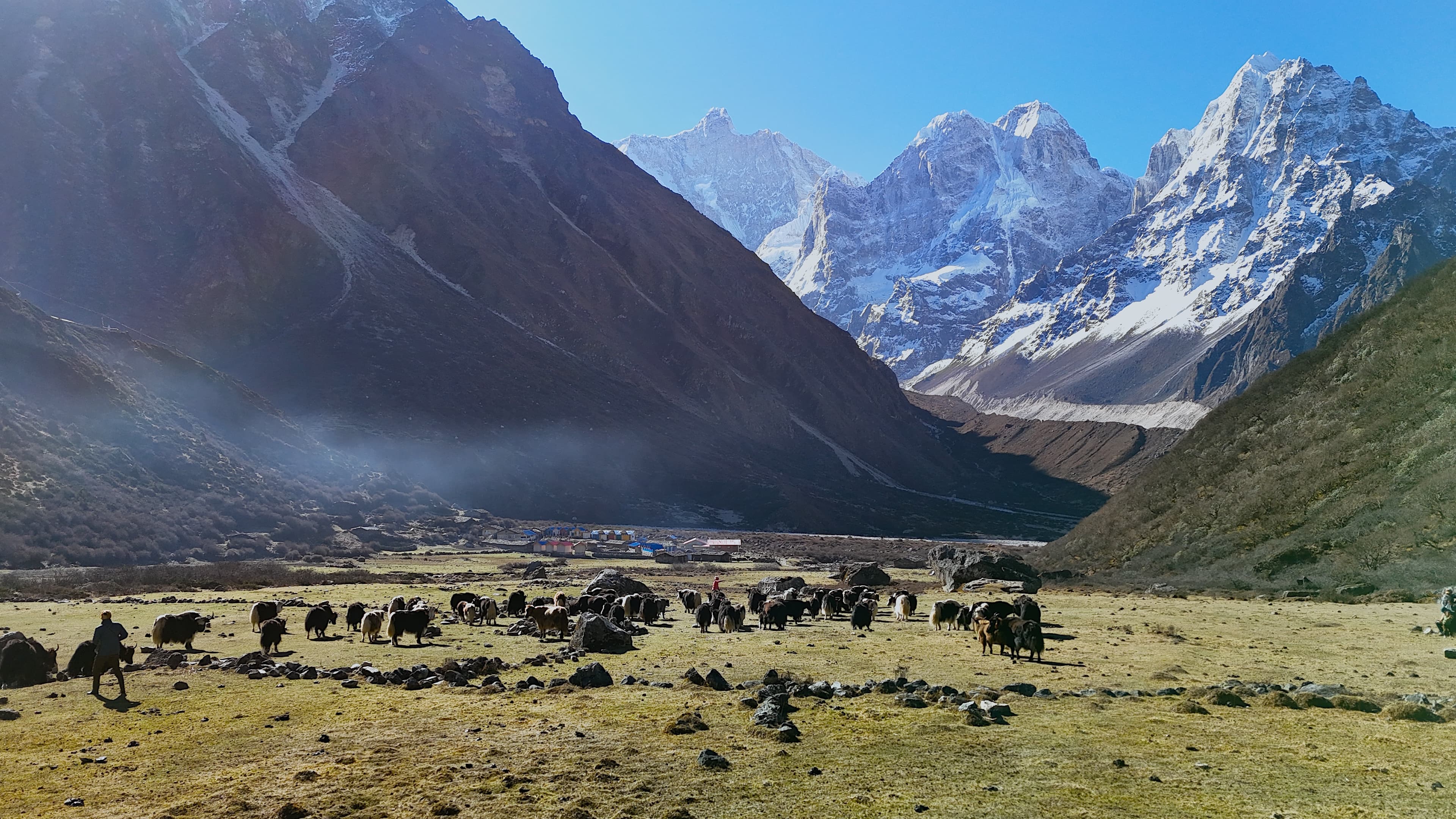 Kanchanjunga Short Trek