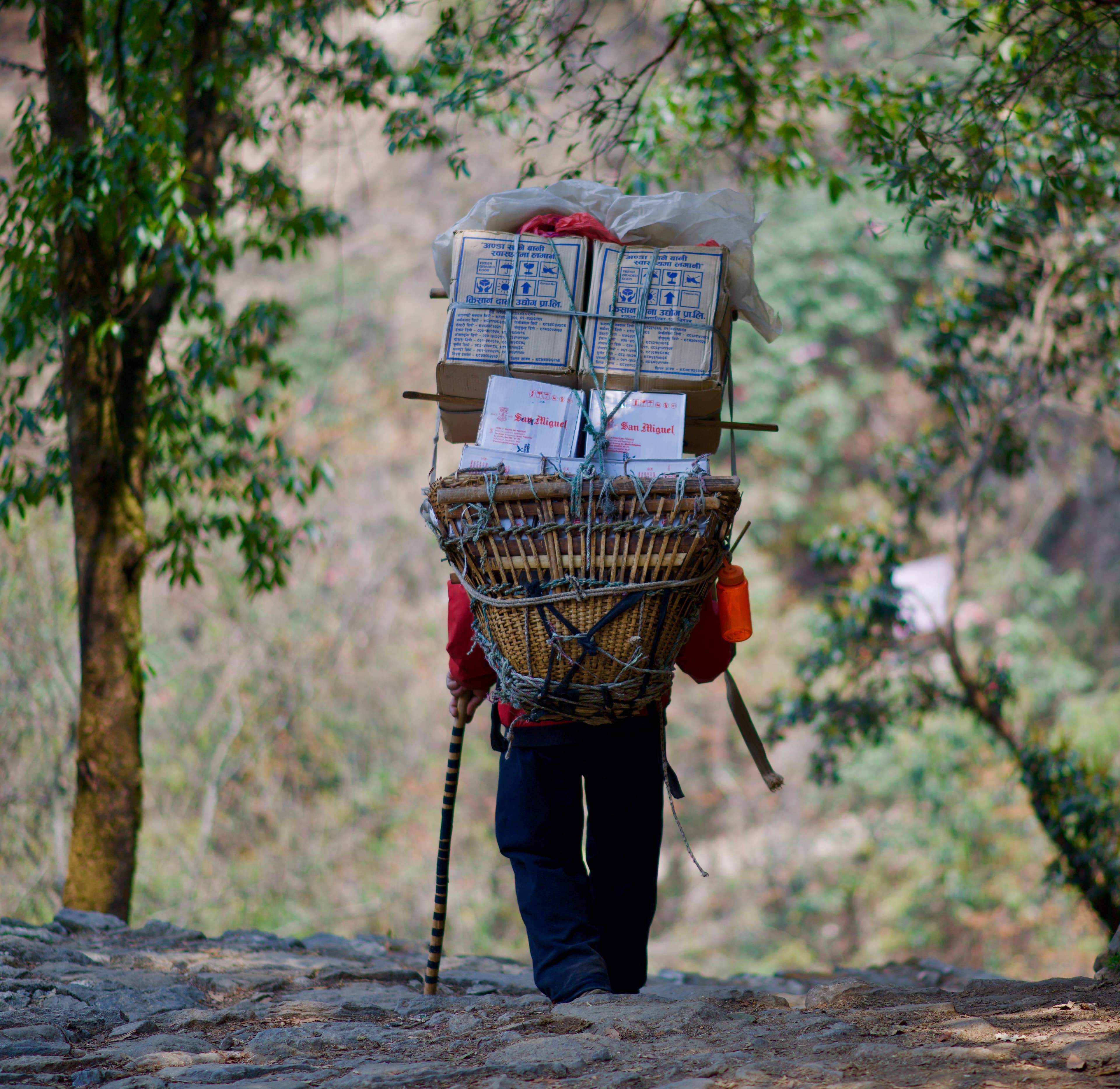 Mardhi Himal Trek